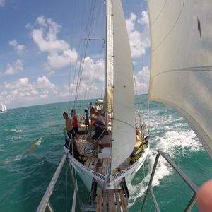 Meet your Posher, Dillon